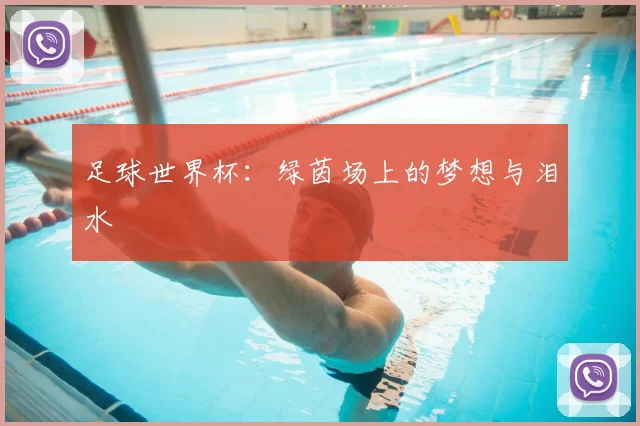 足球世界杯:绿茵场上的梦想与泪水