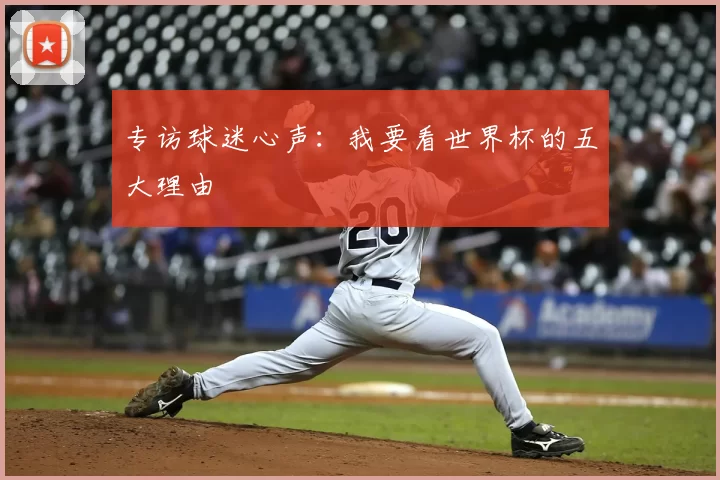 专访球迷心声:我要看世界杯的五大理由