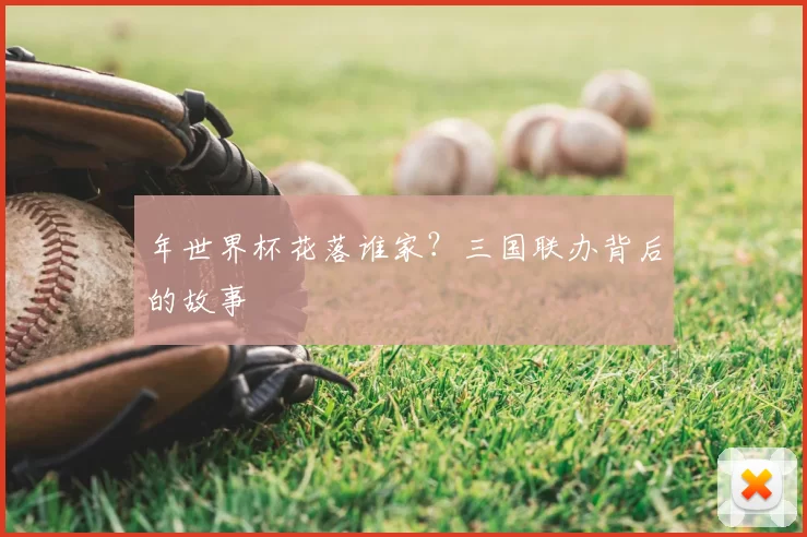 年世界杯花落谁家?三国联办背后的故事