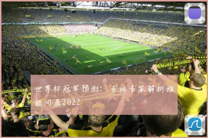世界杯冠军预测:专访专家解析谁能问鼎2022
