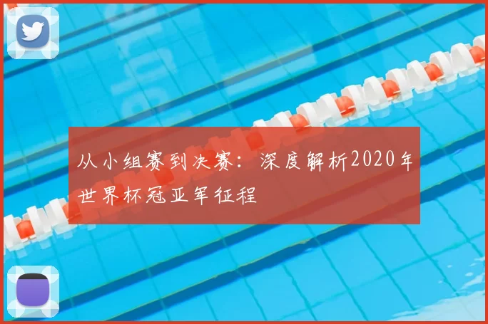 从小组赛到决赛:深度解析2020年世界杯冠亚军征程