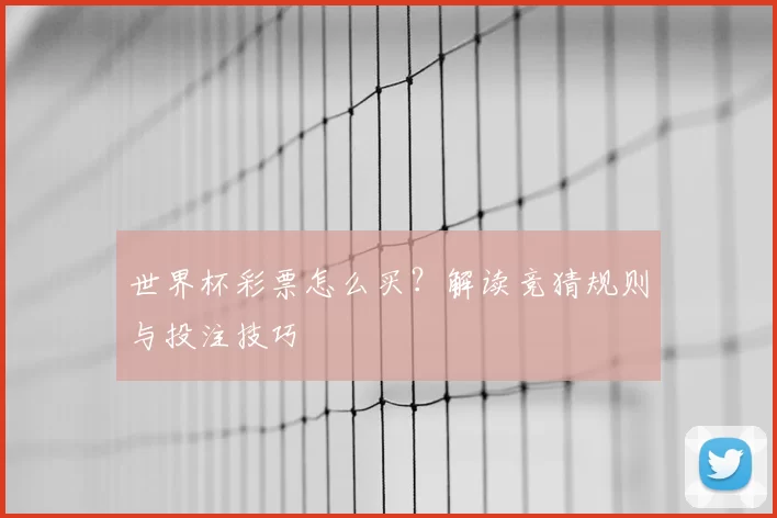 世界杯彩票怎么买?解读竞猜规则与投注技巧