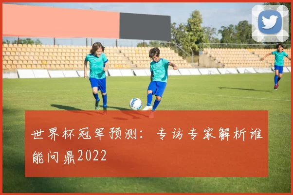 世界杯冠军预测：专访专家解析谁能问鼎2022