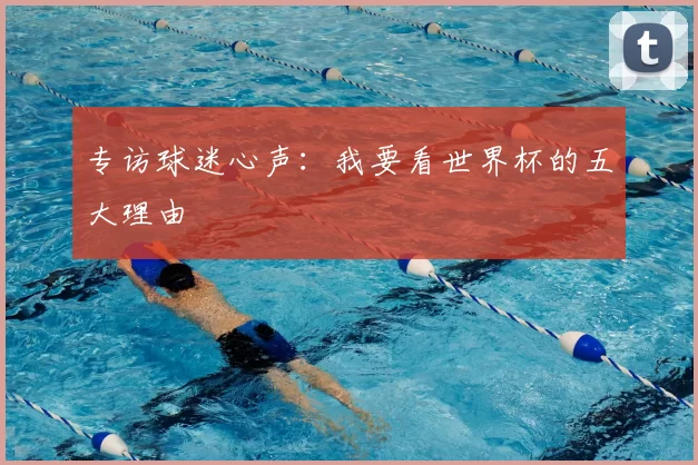 专访球迷心声:我要看世界杯的五大理由