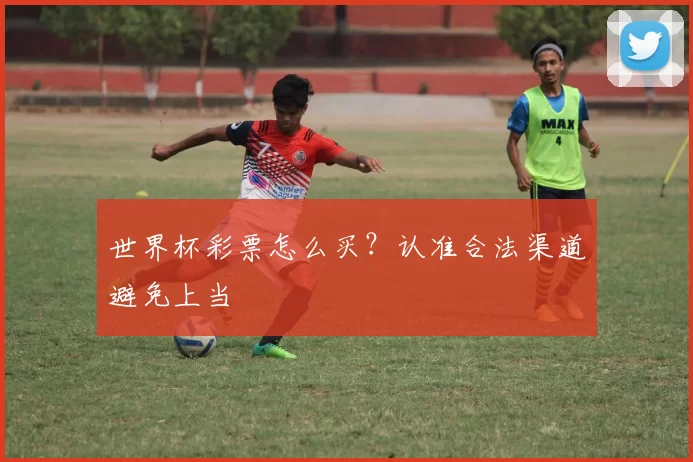 世界杯彩票怎么买?认准合法渠道避免上当
