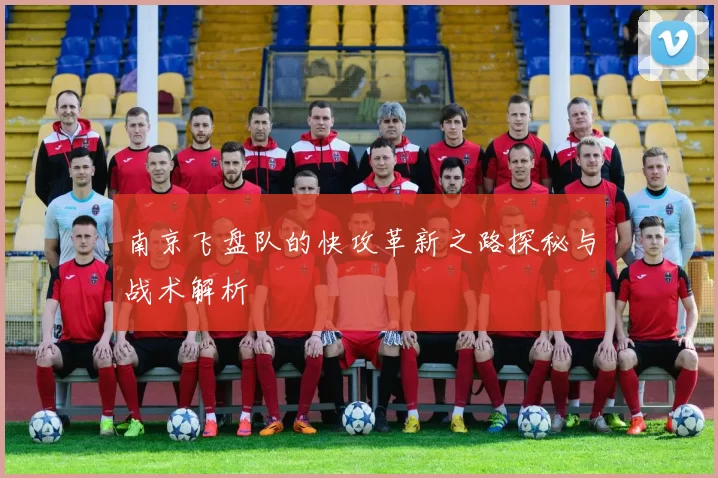 南京飞盘队的快攻革新之路探秘与战术解析