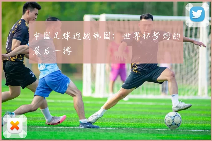 中国足球迎战韩国:世界杯梦想的最后一搏