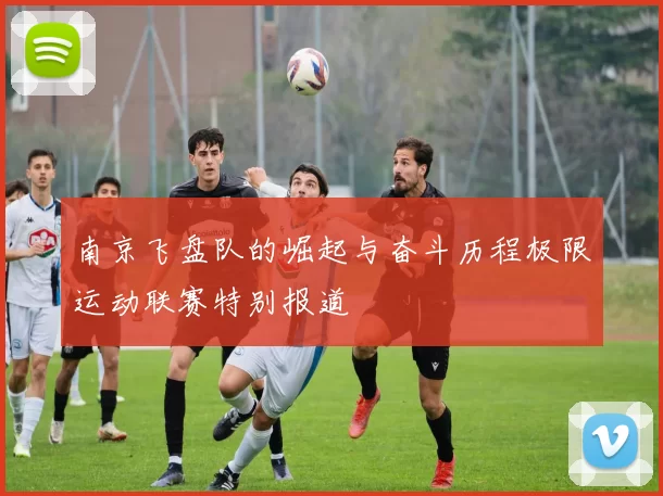 南京飞盘队的崛起与奋斗历程极限运动联赛特别报道