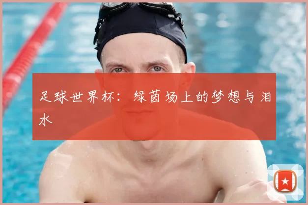 足球世界杯:绿茵场上的梦想与泪水