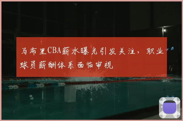 马布里CBA薪水曝光引发关注，职业球员薪酬体系面临审视