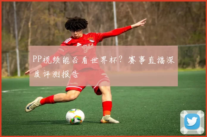 PP视频能否看世界杯?赛事直播深度评测报告